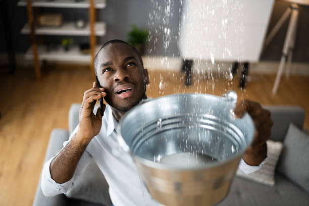Best Carpet water damage restoration  in Scranton, PA