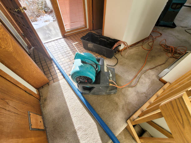 Best Ceiling water damage repair  in Scranton, PA
