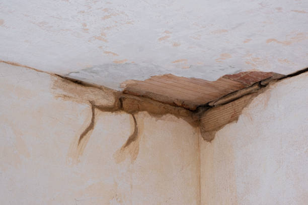 Trusted Scranton, PA Water damage restoration Experts