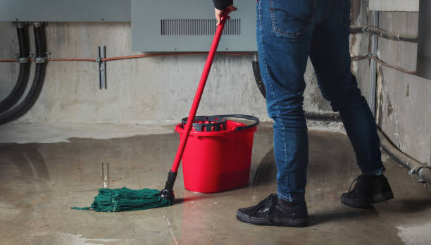Best Basement water damage restoration  in Scranton, PA