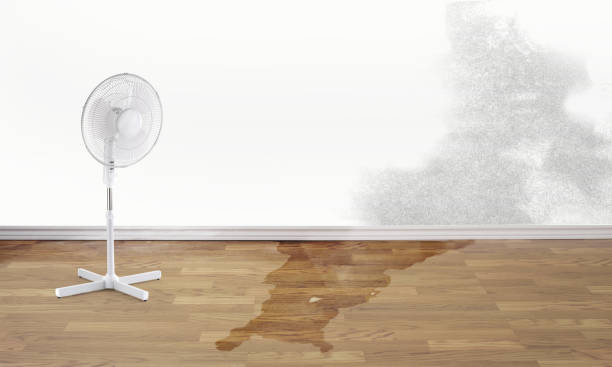 Water damage restoration insurance claims in Scranton, PA
