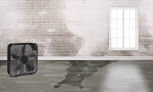 Best Commercial water damage restoration  in Scranton, PA