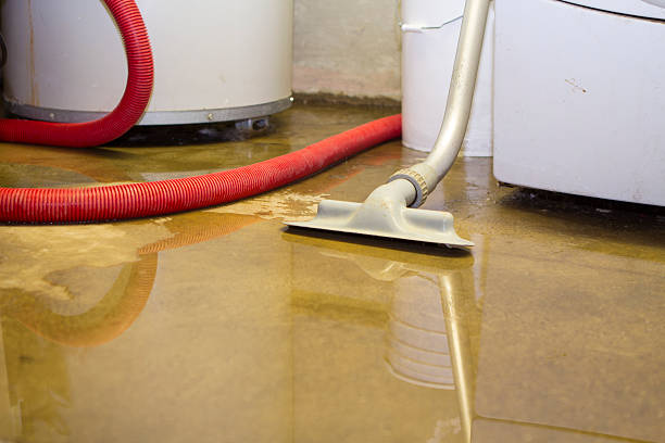 Best Water damage contractors near me  in Scranton, PA