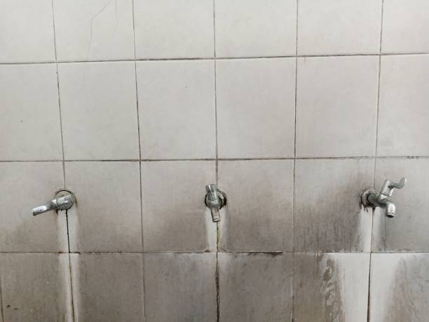 Best Professional water damage repair  in Scranton, PA