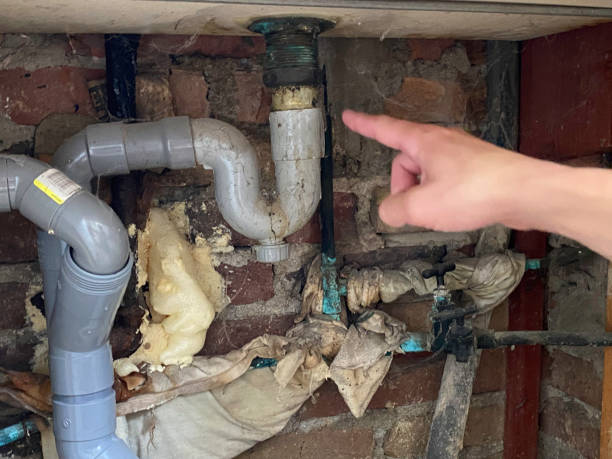 Best Ceiling water damage repair  in Scranton, PA