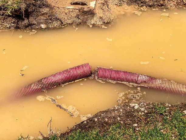 Carpet water damage restoration in Scranton, PA