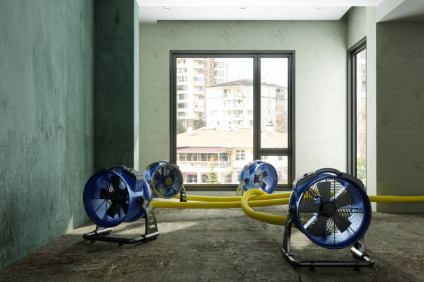 Best Water damage restoration near me  in Scranton, PA