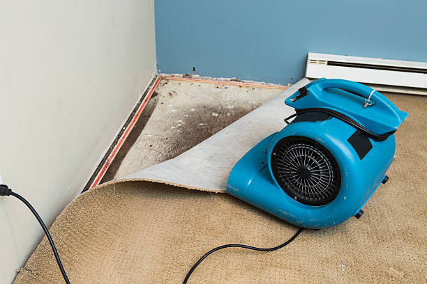 Sewage cleanup and water damage restoration in Scranton, PA